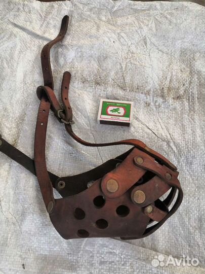 Намордник и поводки