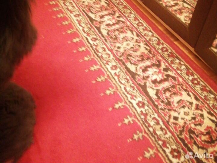 Продам когтеточку для кошек