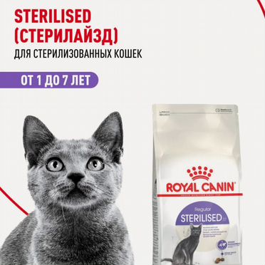 Корм для кошек