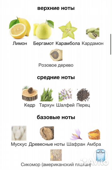 Versace Man Eau Fraiche