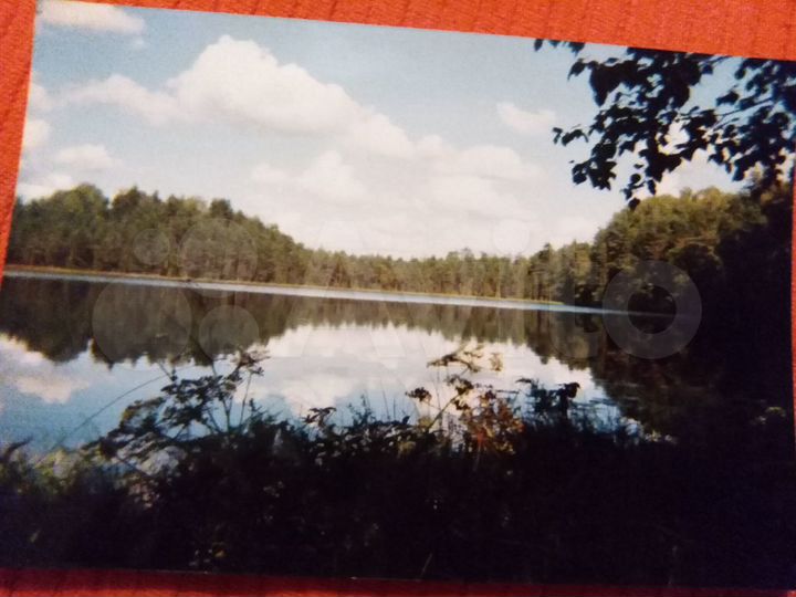 Участок 15 сот. (ИЖС)