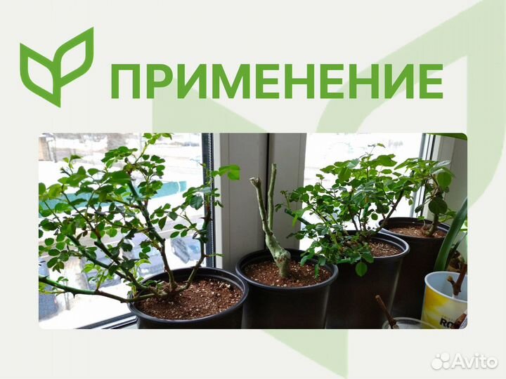 Контейнер круглый, высокий для рассады 2 л. опт