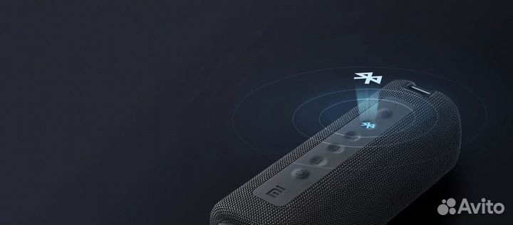 Портативная колонка Xiaomi Mi Portable 16W