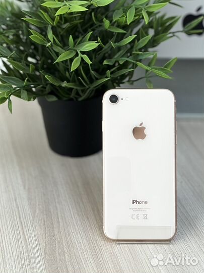 iPhone 8, 64 ГБ