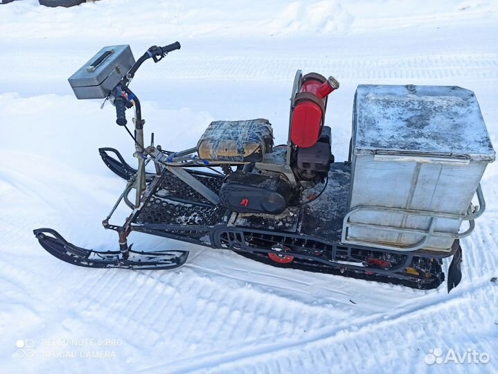 Мото собака