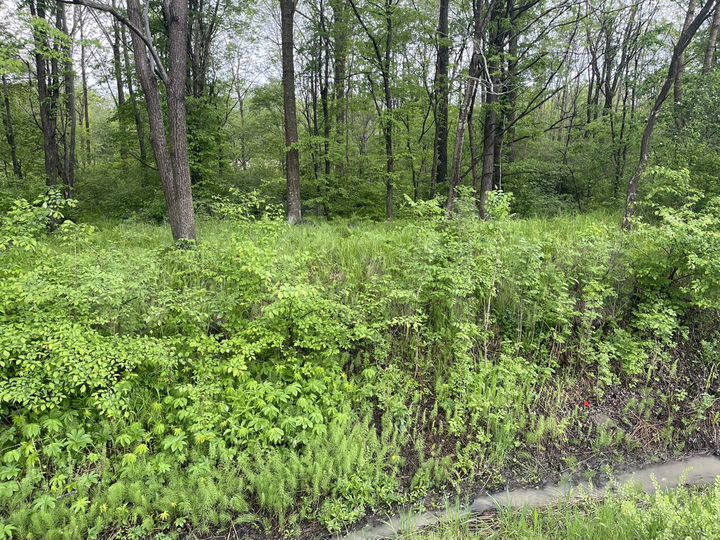 Участок 95 сот. (ИЖС)