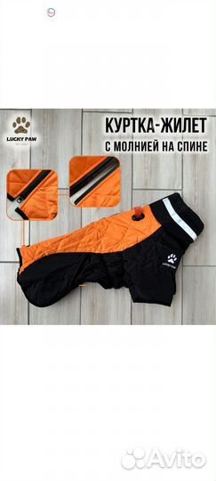Попона для собак