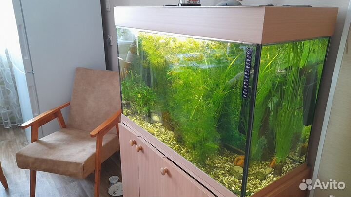 Продается аквариум на 140 литров