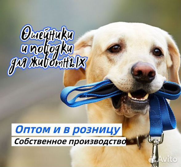 Ошейники и поводки для собак оптом и в розницу