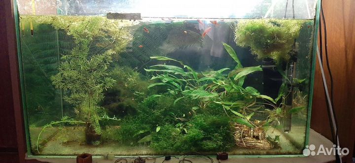 Аквариум