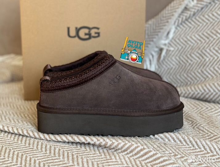 Ugg tazz tasman