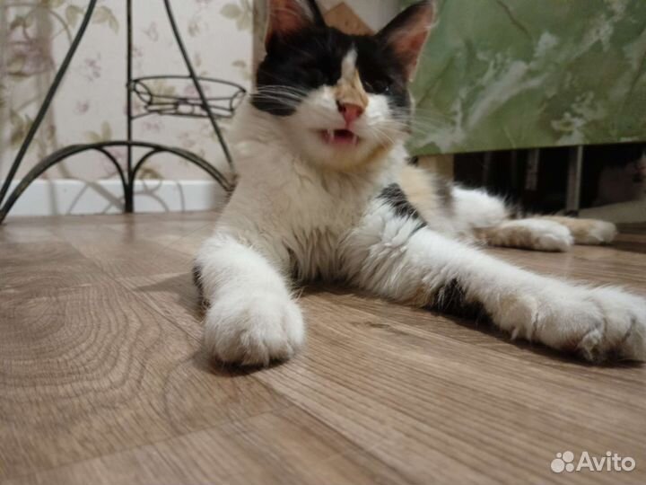 Дуся дочка Муси)