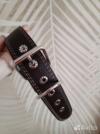 Ошейники для собак крупных пород оптом и в розницу