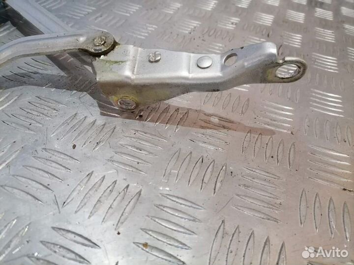 Петли багажника Ford Focus 2 1.4 2004-2011