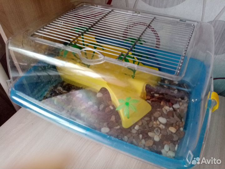 Черепаха водная