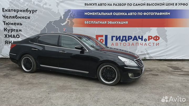 Лента крепления бензобака Hyundai Equus (VI)