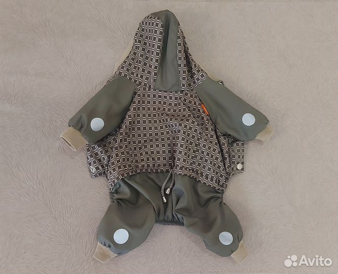 Одежда для собак мелких пород