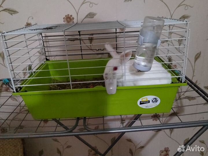 Клетка для декоративного кролика