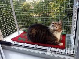 Балкончик для кошки