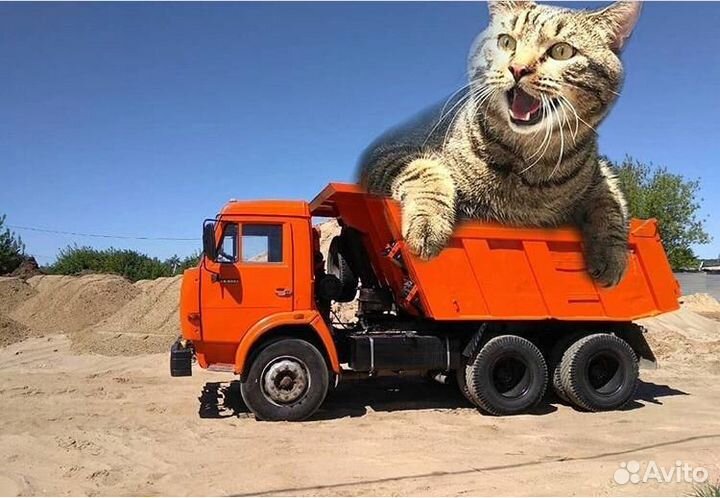 Услуги самосвала