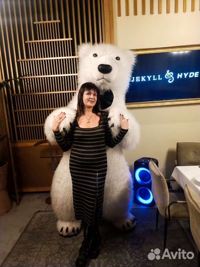 Поздравление от белого мишки, панды в Саратове