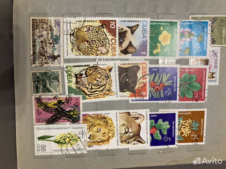 Марки. Животный и растительный мир