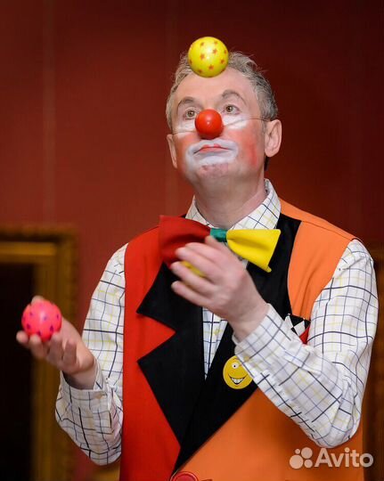 Дед Мороз, клоун цирка, ведущий, детский аниматор