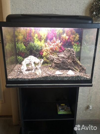 Аквариум с тумбой