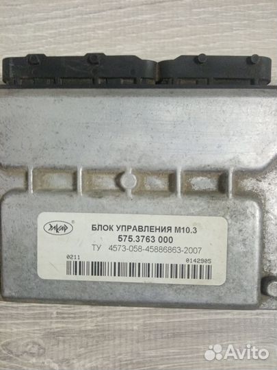 Эбу мозги на газель