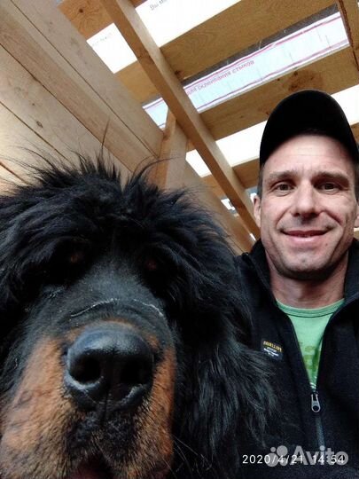 Кинолог - помощь собакам и их хозяевам