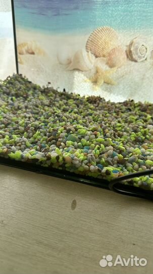Аквариум