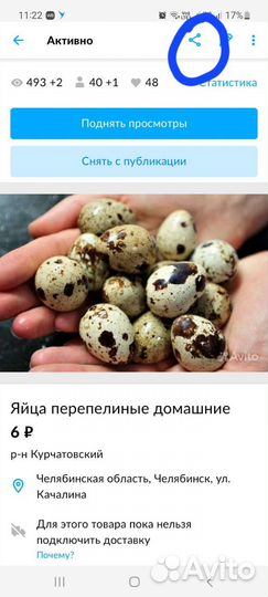 Яйца перепелиные домашние