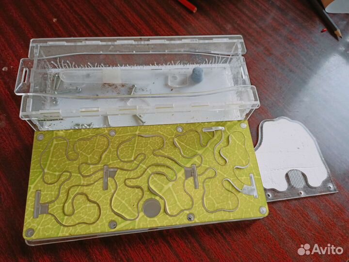 Муравьиная ферма