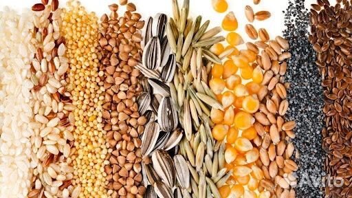 Покупка зерна