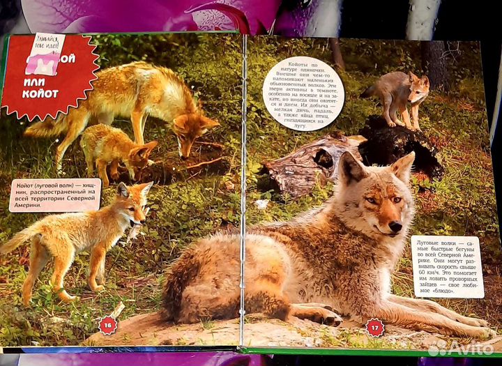 Энциклопедия про животных