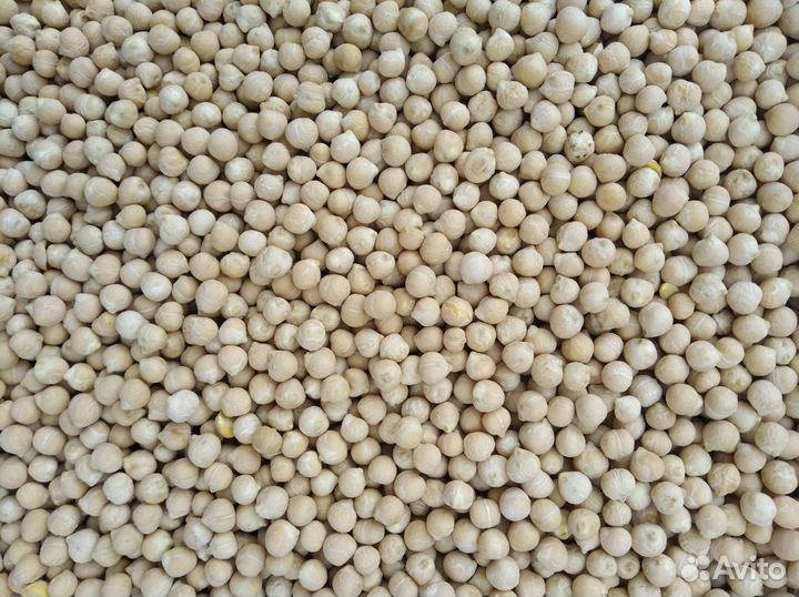 Зерно и зерносмесь каллорийная в х. Потапов