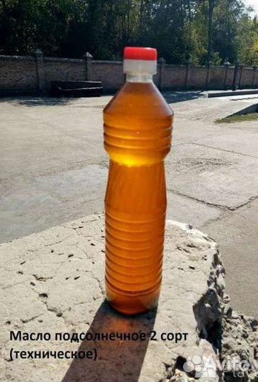 Масло подсолнечное