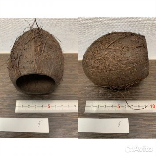 Кокосы в аквариум (декорации в аквариум)