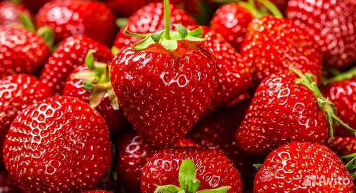 Ягода клубника