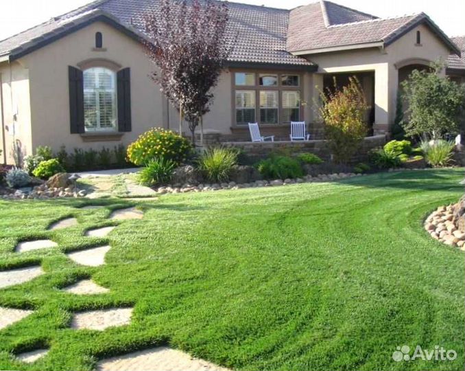 Рулонный газон