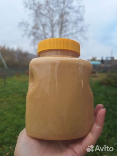 Мед, забрус, перга, прополис. Алтай