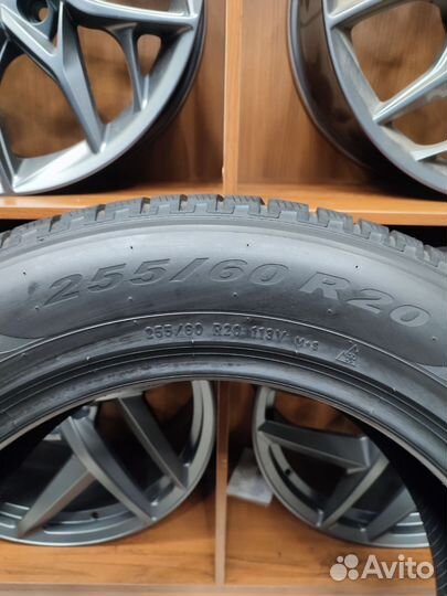 Pirelli Scorpion Winter 255/60 R20 113V