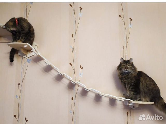 Мостик для кошки из дерева подвесной