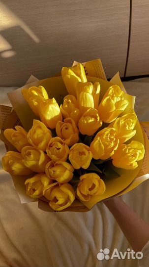 Тюльпаны букет