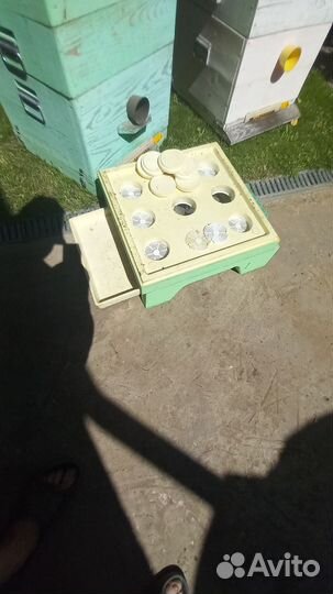 Ульи для пчел