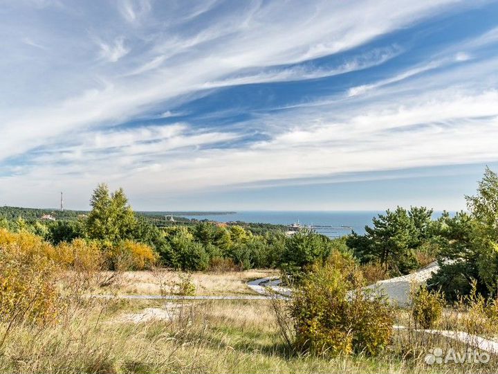 Калининград Топ-Экскурсия На Куршскую косу и в Зел