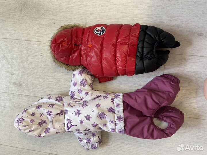 Костюмы для маленьких собак