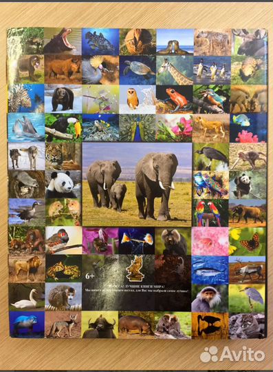 Энциклопедия животных