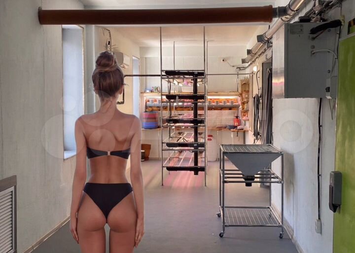 Свободного назначения, 116.3 м²