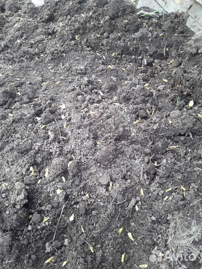 Земля Чернозем